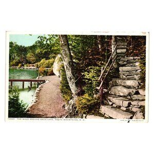 Vintage Postcard Walk Around Saco Lake White Mountains NH Phostint Nature